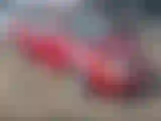 Vehicle Image- 2005 Toyota Corolla