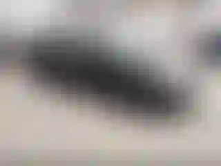 Vehicle Image- 2006 Toyota Corolla