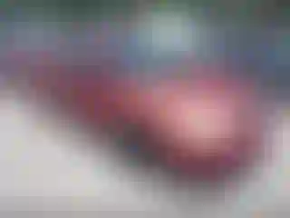 Vehicle Image- 2005 Toyota Corolla