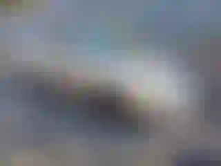 Vehicle Image- 2006 Toyota Corolla