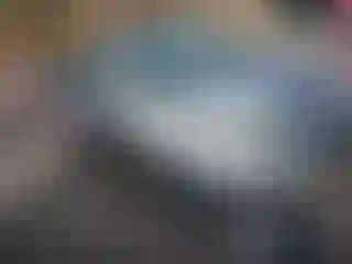 Vehicle Image- 2004 Toyota Corolla