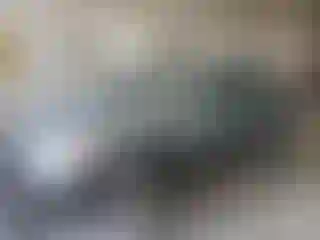 Vehicle Image- 2003 Toyota Corolla