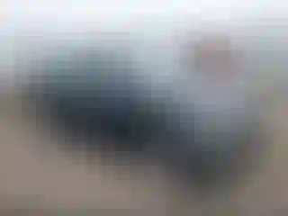 Vehicle Image- 2009 Toyota Corolla