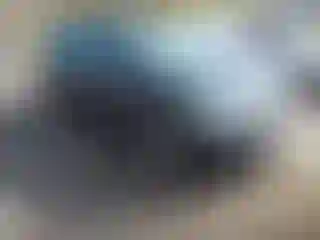 Vehicle Image- 2009 Toyota Corolla