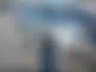 Vehicle Image- 2009 Toyota Corolla