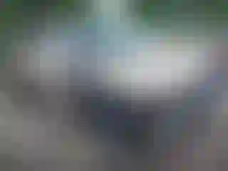 Vehicle Image- 2009 Toyota Corolla