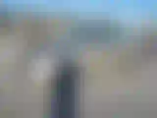 Vehicle Image- 2009 Toyota Corolla