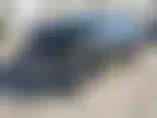 Vehicle Image- 2010 Toyota Corolla