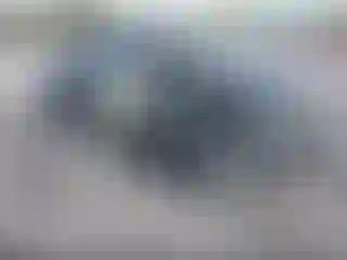 Vehicle Image- 2013 Toyota Corolla