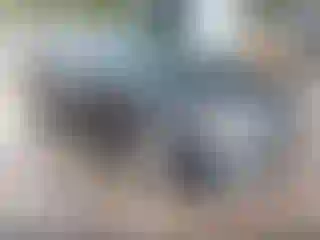 Vehicle Image- 2010 Toyota Corolla