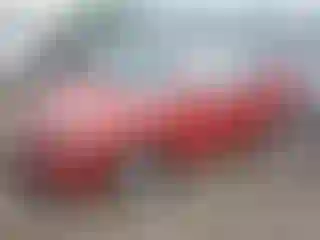 Vehicle Image- 2010 Toyota Corolla