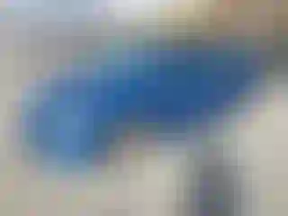 Vehicle Image- 2010 Toyota Corolla