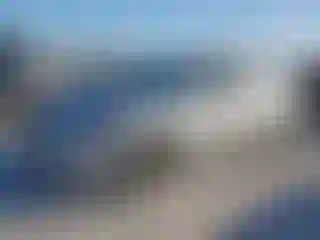 Vehicle Image- 2010 Toyota Corolla