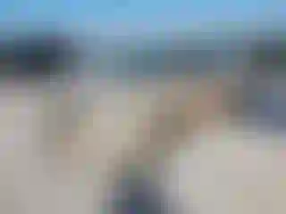 Vehicle Image- 2011 Toyota Corolla