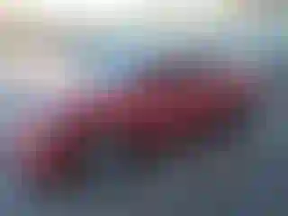 Vehicle Image- 2010 Toyota Corolla