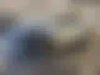 Vehicle Image- 2013 Toyota Corolla