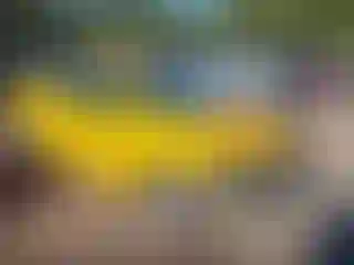 Vehicle Image- 2010 Toyota Corolla