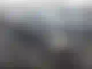 Vehicle Image- 2011 Toyota Corolla