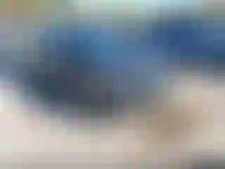 Vehicle Image- 2011 Toyota Corolla