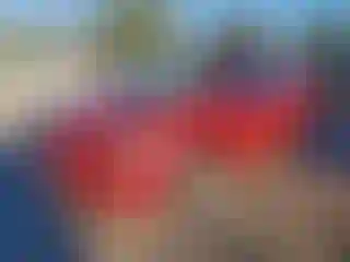 Vehicle Image- 2012 Toyota Corolla