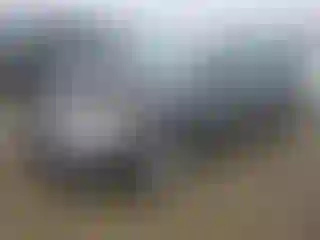 Vehicle Image- 2010 Toyota Corolla