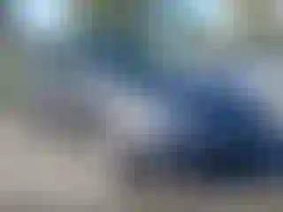 Vehicle Image- 2010 Toyota Corolla