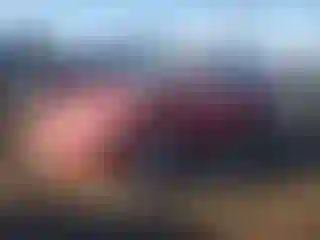 Vehicle Image- 2013 Toyota Corolla