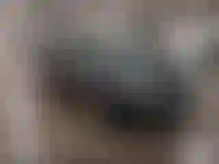 Vehicle Image- 2013 Toyota Corolla