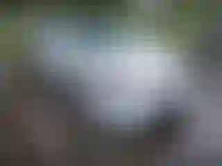 Vehicle Image- 2010 Toyota Corolla