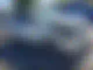 Vehicle Image- 2012 Toyota Corolla