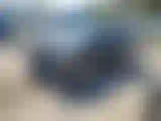 Vehicle Image- 2010 Toyota Corolla