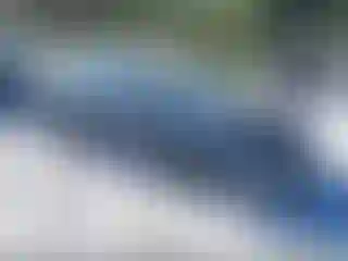 Vehicle Image- 2019 Toyota Corolla