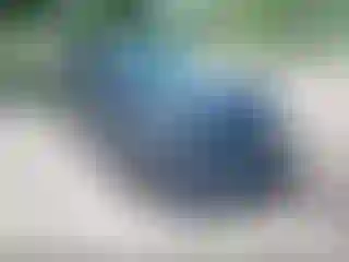 Vehicle Image- 2019 Toyota Corolla