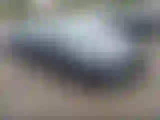 Vehicle Image- 2019 Toyota Corolla