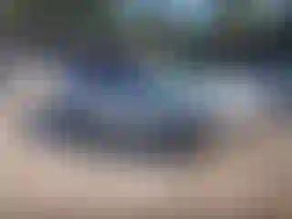 Vehicle Image- 2016 Toyota Corolla