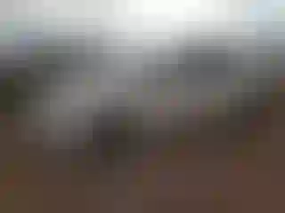 Vehicle Image- 2017 Toyota Corolla