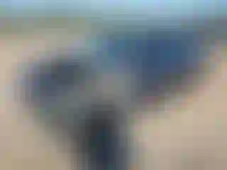 Vehicle Image- 2014 Toyota Corolla