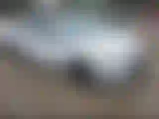 Vehicle Image- 2014 Toyota Corolla