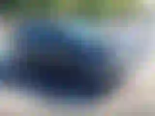 Vehicle Image- 2016 Toyota Corolla