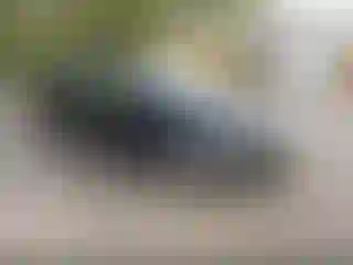 Vehicle Image- 2017 Toyota Corolla