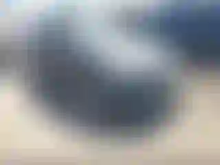 Vehicle Image- 2019 Toyota Corolla