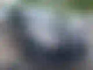 Vehicle Image- 2015 Toyota Corolla