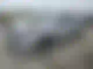 Vehicle Image- 2016 Toyota Corolla