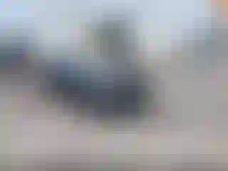 Vehicle Image- 2019 Toyota Corolla