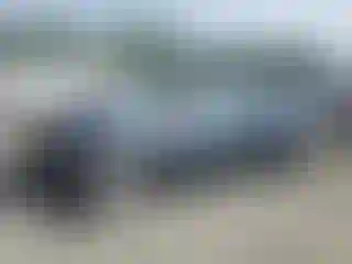 Vehicle Image- 2019 Toyota Corolla