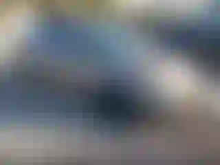 Vehicle Image- 2019 Toyota Corolla