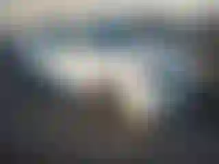 Vehicle Image- 2014 Toyota Corolla