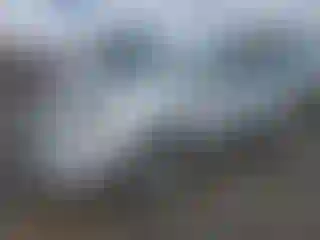 Vehicle Image- 2016 Toyota Corolla