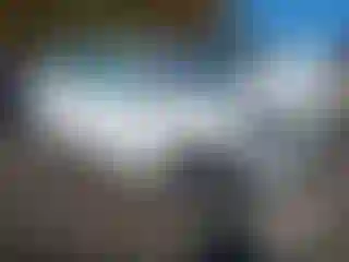 Vehicle Image- 2017 Toyota Corolla