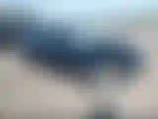 Vehicle Image- 2019 Toyota Corolla